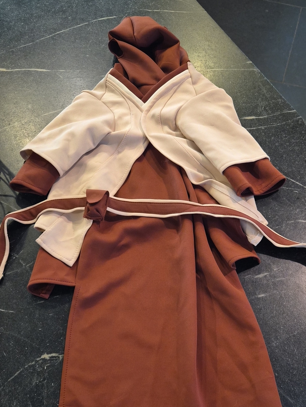 Star wars jedi dog costume